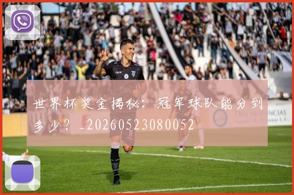 世界杯奖金揭秘：冠军球队能分到多少？_20260523080052