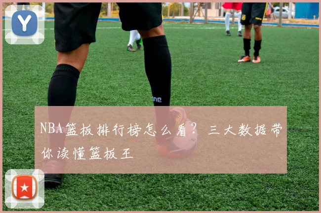 NBA篮板排行榜怎么看？三大数据带你读懂篮板王